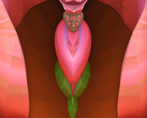 Identité féminine et sexualité : mythe et réalité ? Identité féminine et sexualité : mythe et réalité ?