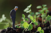 Ronan ou retisser les fibres de la vie. Dr Thierry Servillat Ronan ou retisser les fibres de la vie. Dr Thierry Servillat