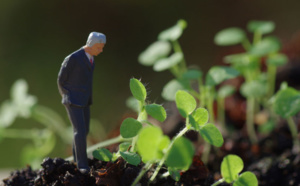 Ronan ou retisser les fibres de la vie. Dr Thierry Servillat